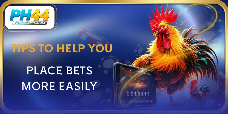 live-cockfighting-experience