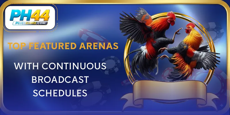 live-cockfighting-live-arenas