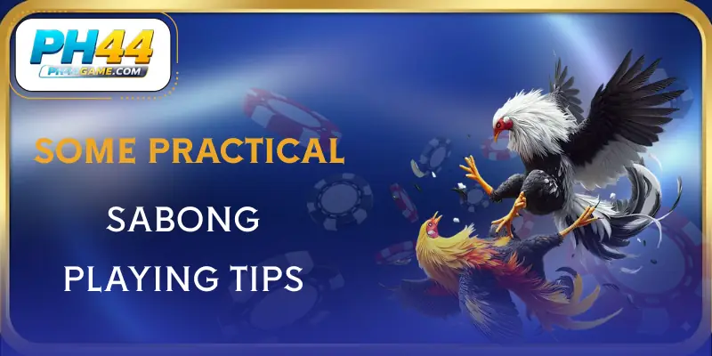 ph44-sabong-tips
