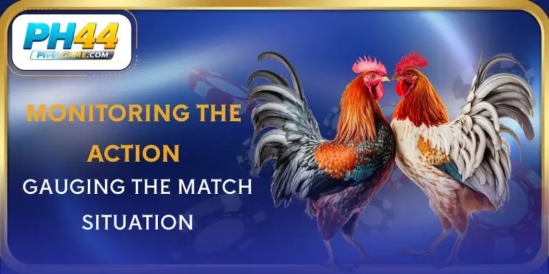 sabong-bet-follow-the-match
