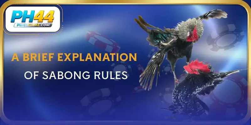 sabong-rules-explanation