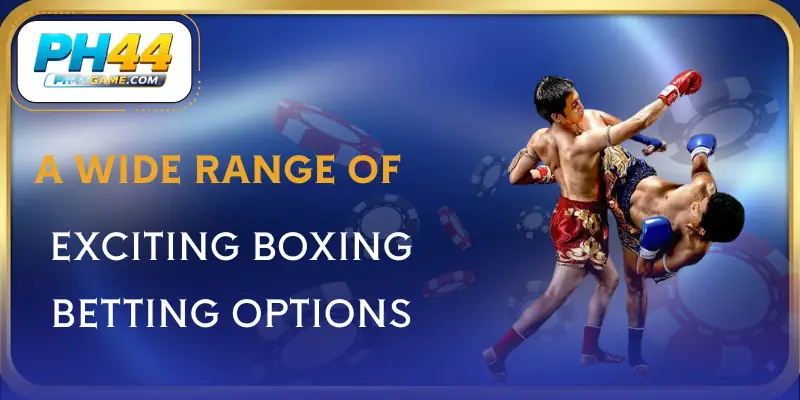 sportsbook-boxing-option