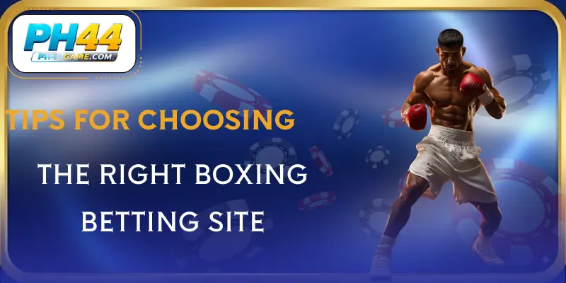 sportsbook-boxing-tips